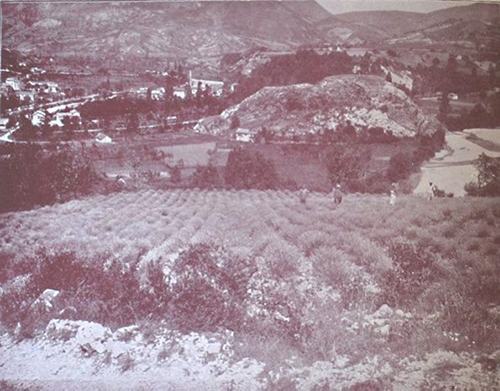 O nama 1 les terres gravier 1975500